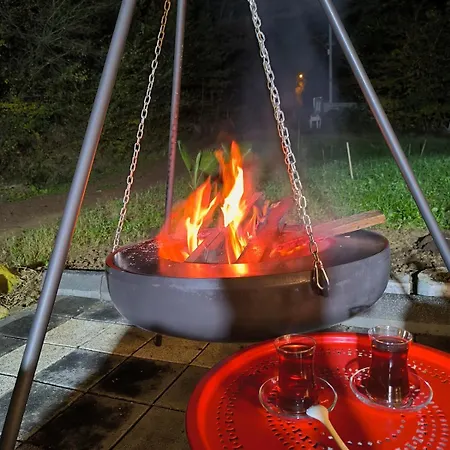 Yesilin Tonlariyla Sarilmis Lueks Nyaraló