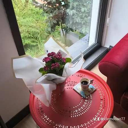 Yesilin Tonlariyla Sarilmis Lueks