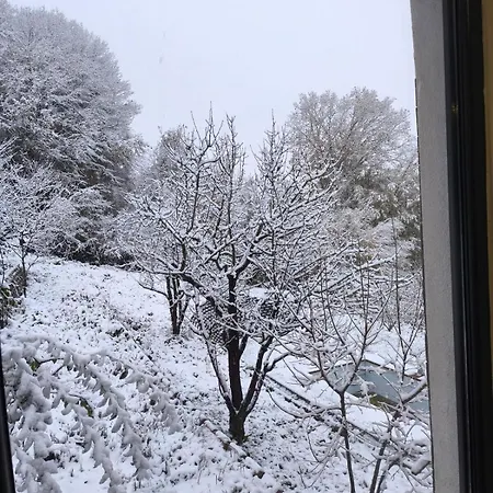 Yesilin Tonlariyla Sarilmis Lueks Izmit