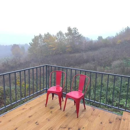 Yesilin Tonlariyla Sarilmis Lueks Izmit